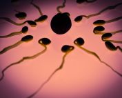 Everything You Need To Know About Sperm Washing